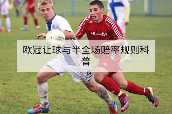 竞彩半全场与总进球盘口术语及风险提示