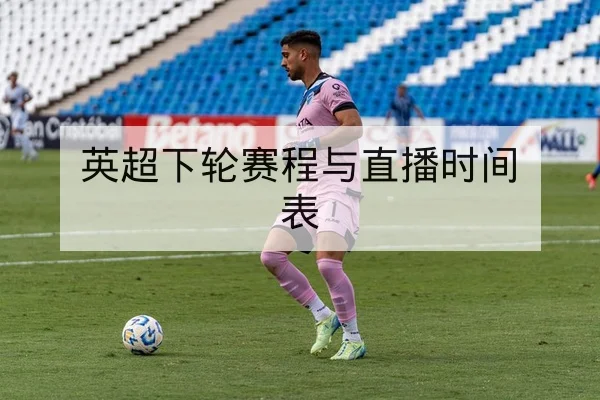 竞彩半全场与总进球盘口术语及风险提示